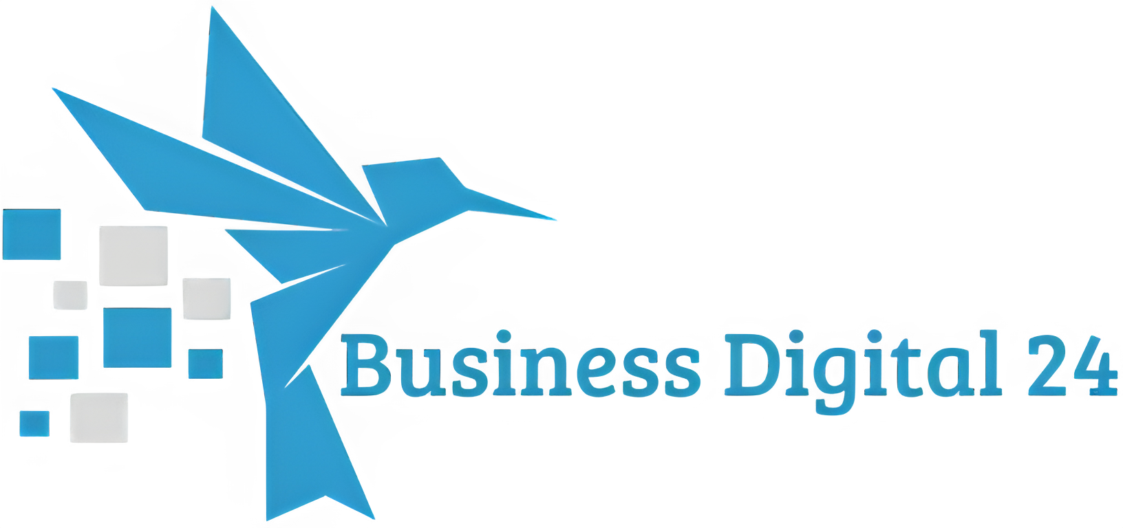 Business Digital 24
